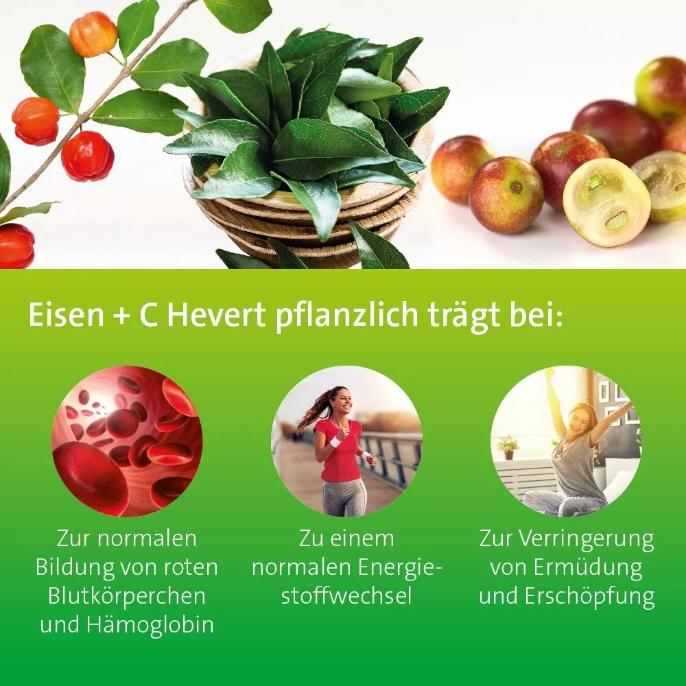 Eisen + C Hevert pflanzlich mit natürlichem Eisen & Vitamin C 60 Kapseln
